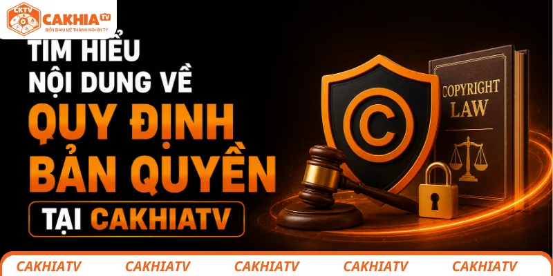 Tìm hiểu các nội dung về quy định bản quyền